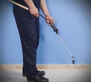 pest control spray 300x270