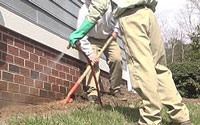 termite spraying